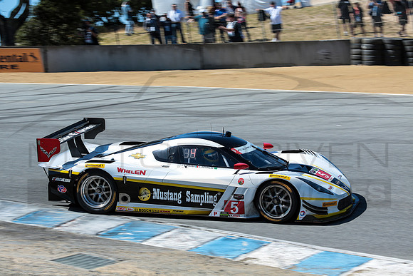No. 5 Action Express Racing Corvette DP