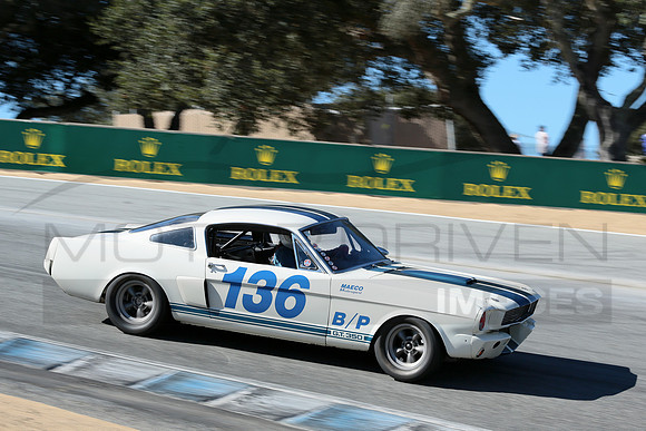 1966 Shelby G.T. 350, Chassis No. SFM 6S063
