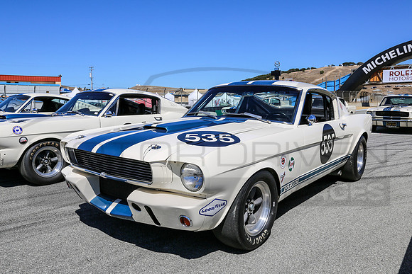 1965 Shelby G.T. 350, Chassis No. SFM 5R535
