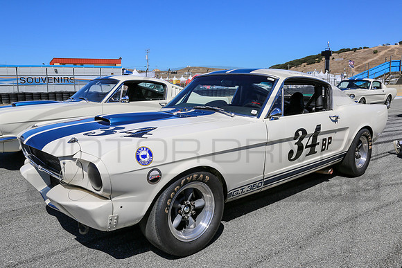 1965 Shelby G.T. 350, Chassis No. SFM 5S034
