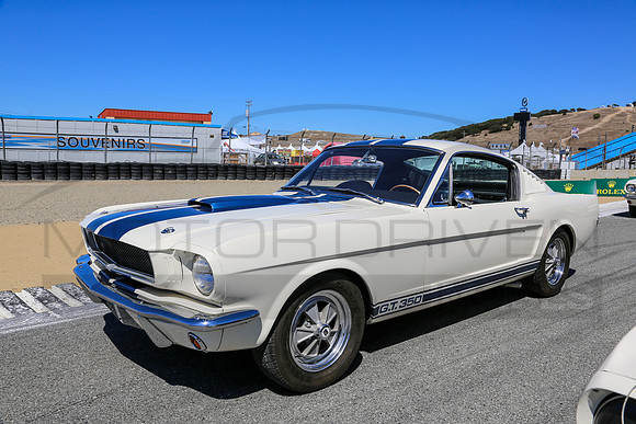 1965 Shelby G.T. 350