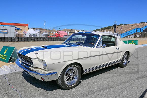 1965 Shelby G.T. 350