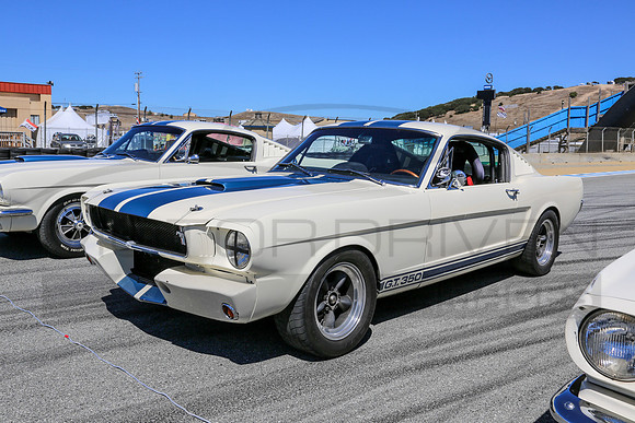 1965 Shelby G.T. 350