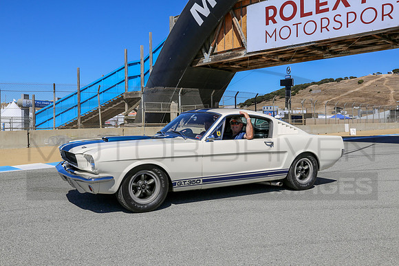 1965 Shelby G.T. 350
