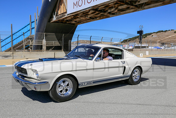 1965 Shelby G.T. 350