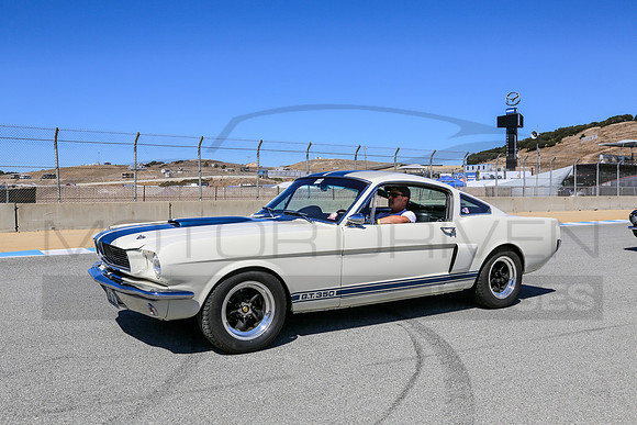 1966 Shelby G.T. 350
