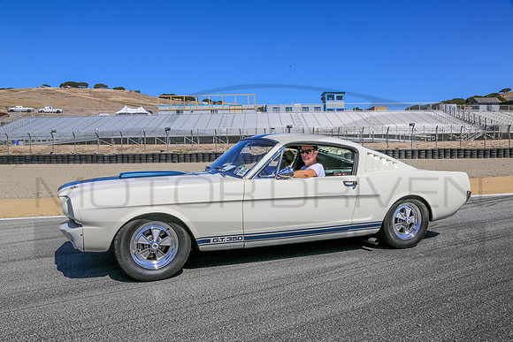 1965 Shelby G.T. 350