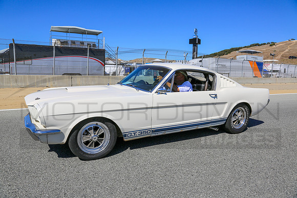 1965 Shelby G.T. 350