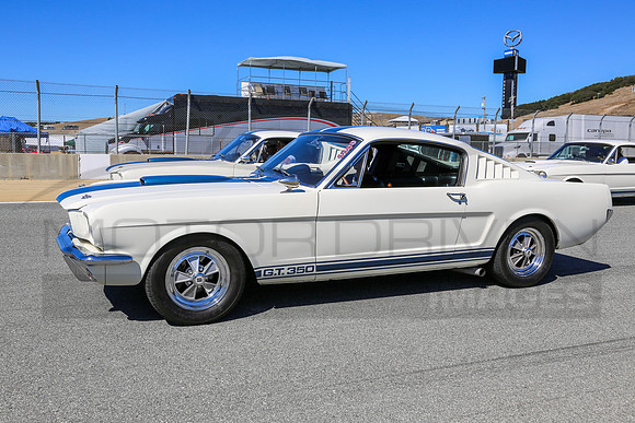 1965 Shelby G.T. 350