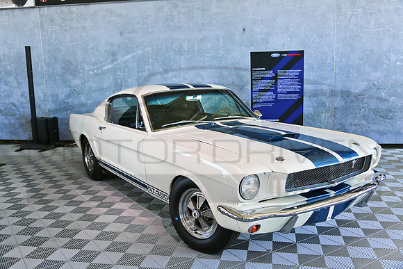 1965 Shelby G.T. 350, Chassis SFM 5S059