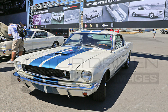 1965 Shelby G.T. 350, Chassis SFM 5S483