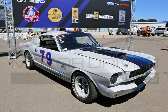 Shelby G.T. 350